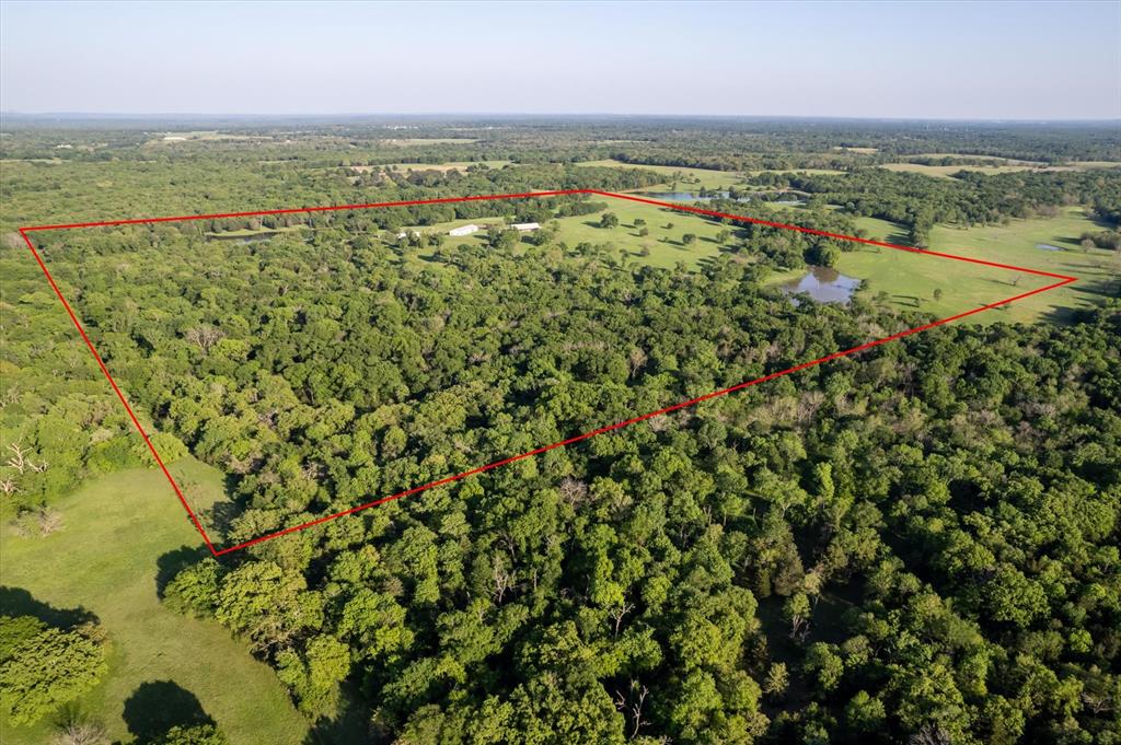 1053 An County Road 499, Athens, Texas image 26