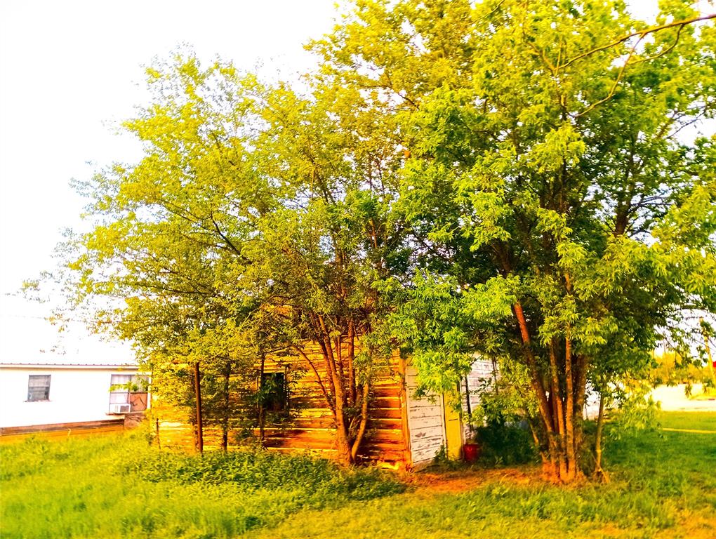 1400 S Concho Street, Coleman, Texas image 4