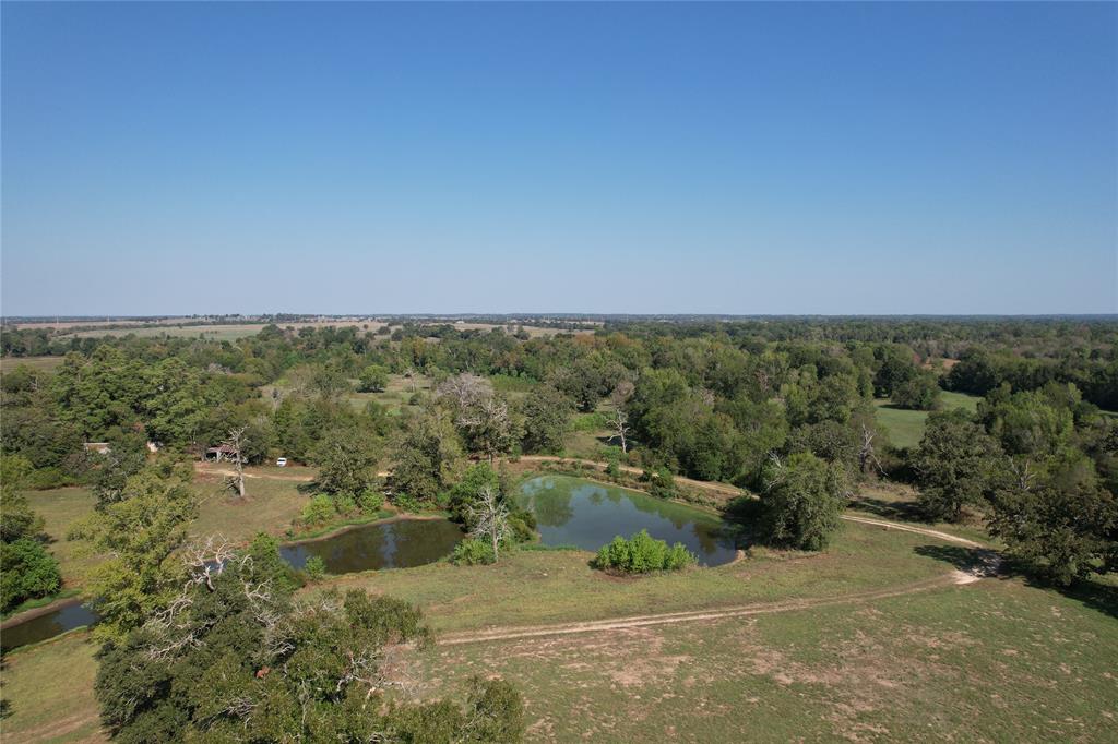 879 Cr 3390, Crockett, Texas image 1