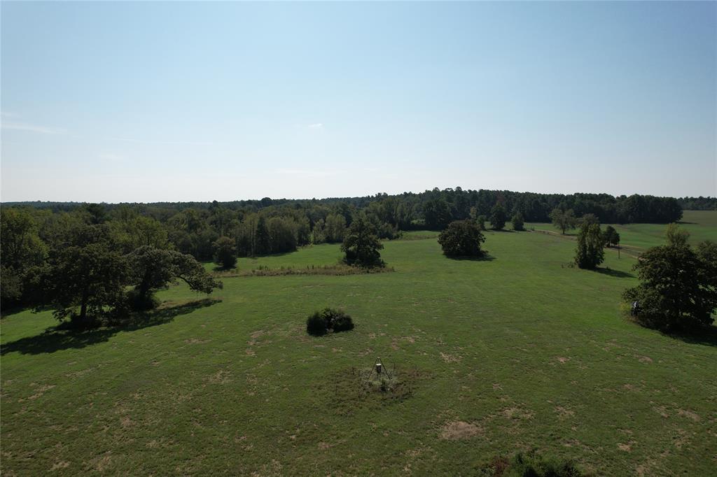 879 Cr 3390, Crockett, Texas image 6