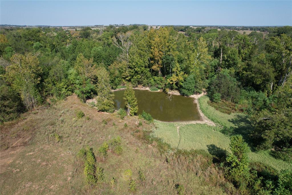 879 Cr 3390, Crockett, Texas image 20