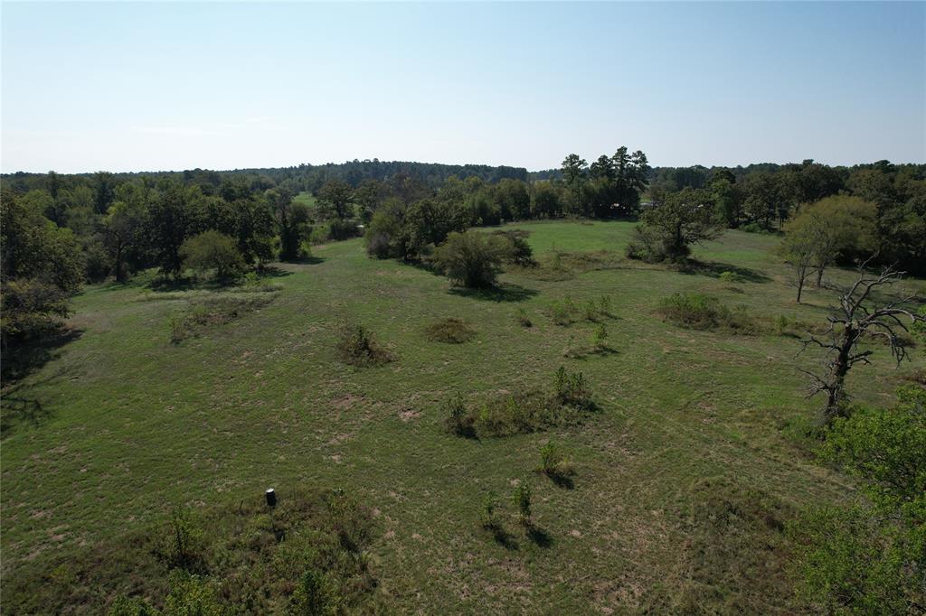879 Cr 3390, Crockett, Texas image 18