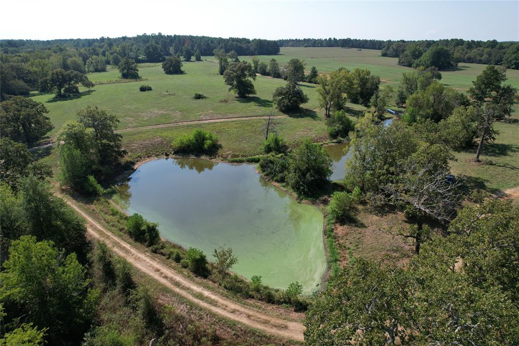 879 Cr 3390, Crockett, Texas image 4