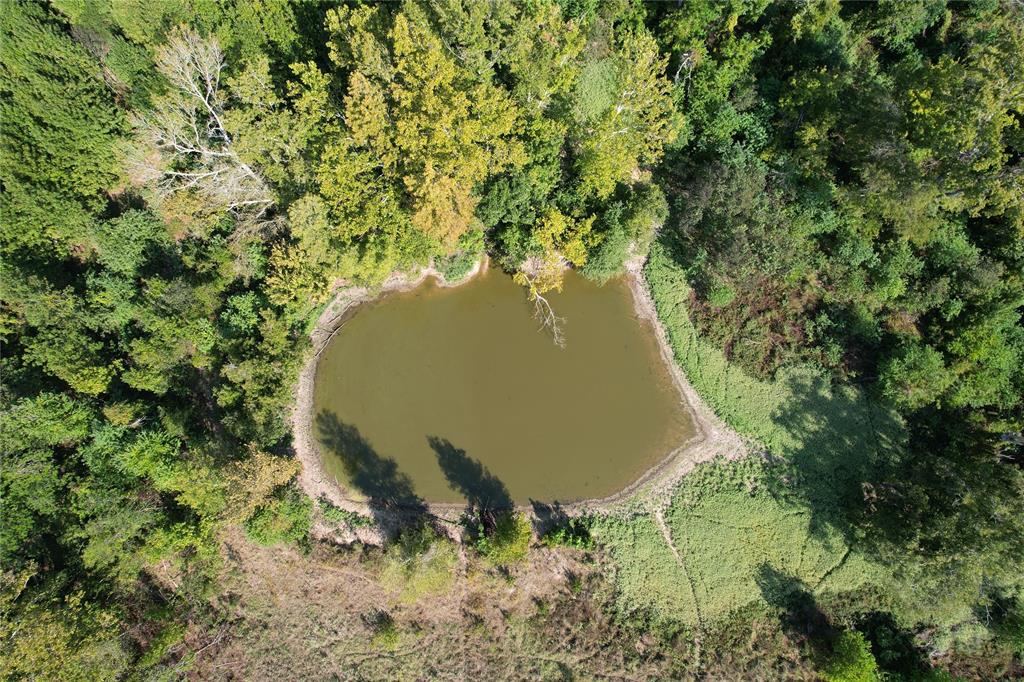 879 Cr 3390, Crockett, Texas image 16