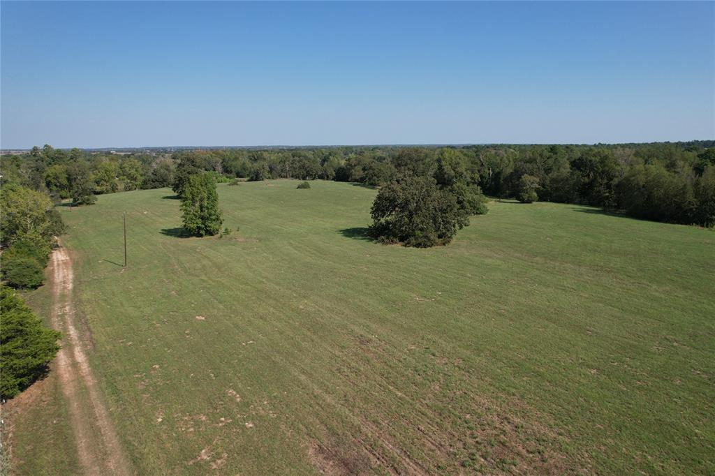 879 Cr 3390, Crockett, Texas image 12