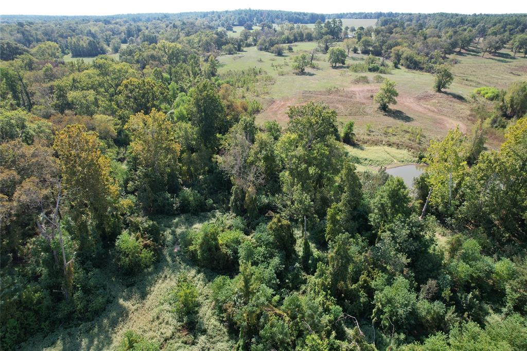 879 Cr 3390, Crockett, Texas image 21