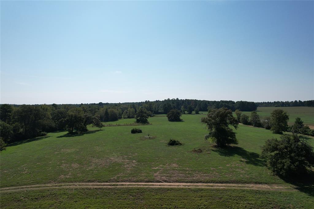 879 Cr 3390, Crockett, Texas image 5