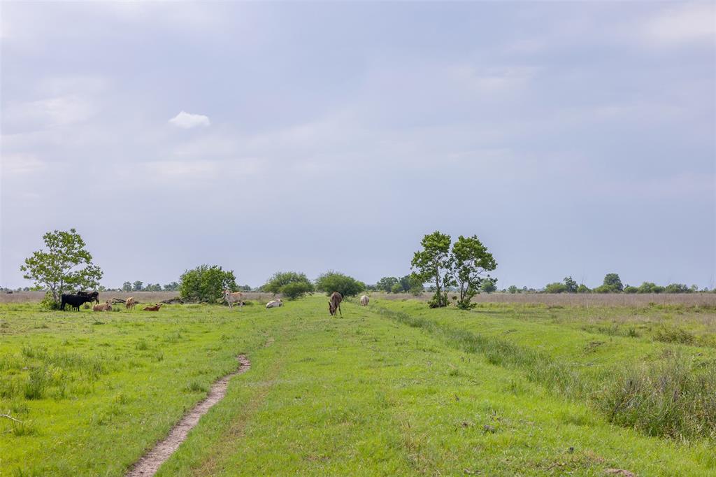8417 Green Leaf Lane, Brookshire, Texas image 22
