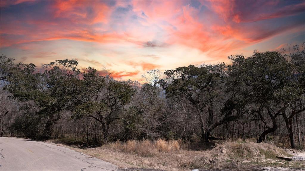 Country Road 764c, Damon, Texas image 6