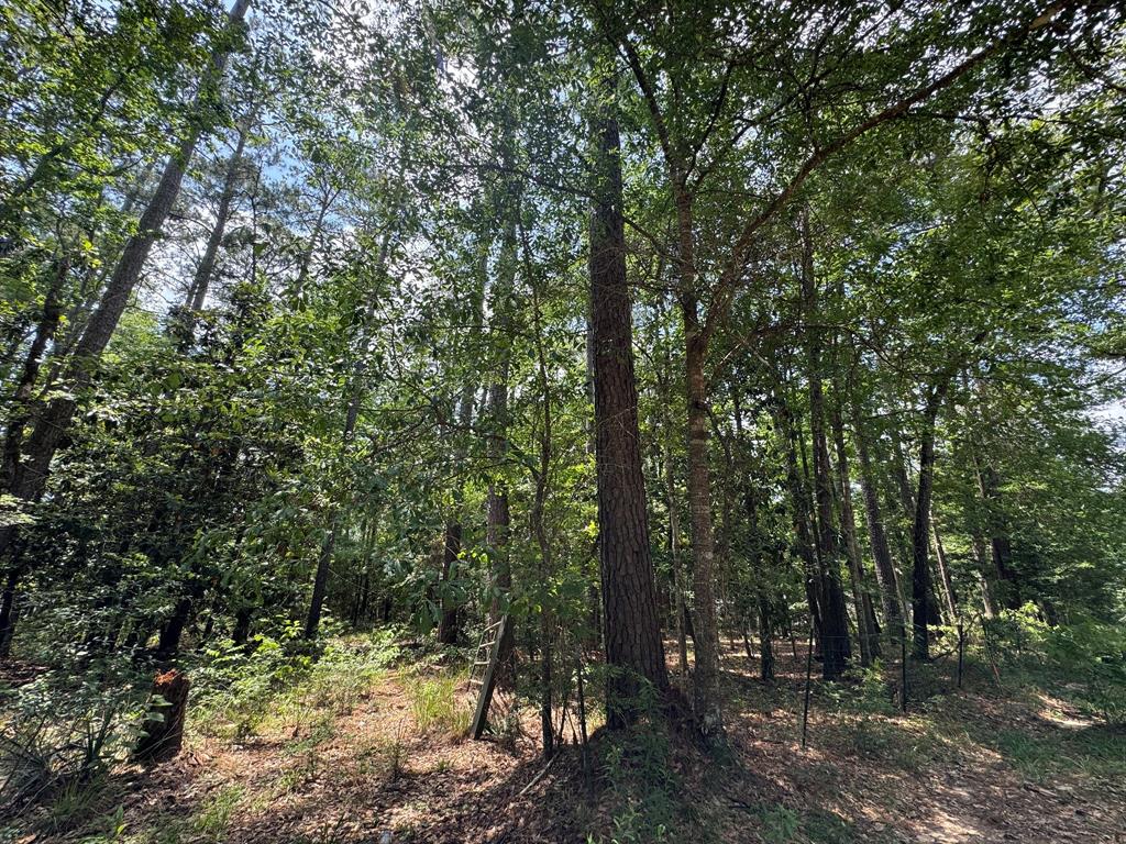 570 Lake Camelot Circle, Woodville, Texas image 13