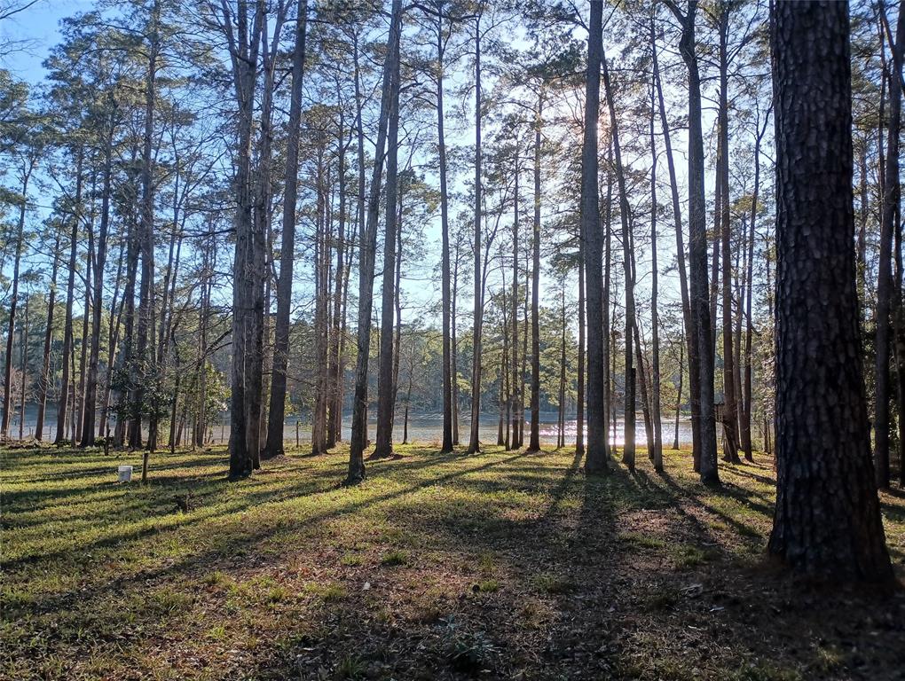 570 Lake Camelot Circle, Woodville, Texas image 12