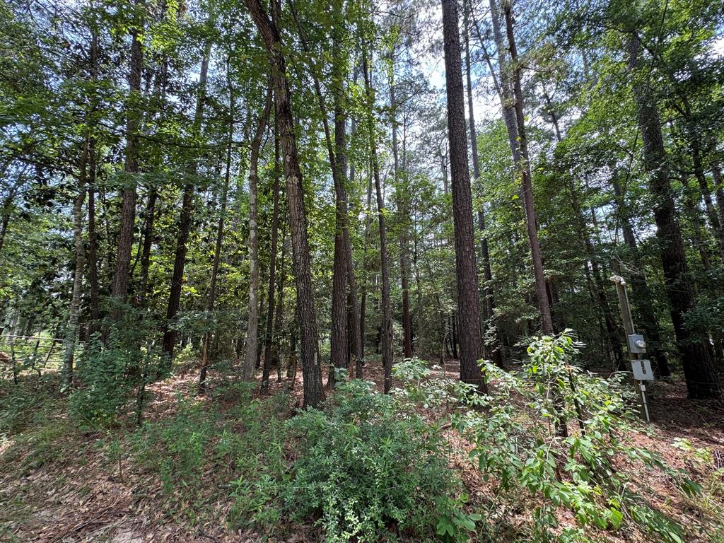 570 Lake Camelot Circle, Woodville, Texas image 11