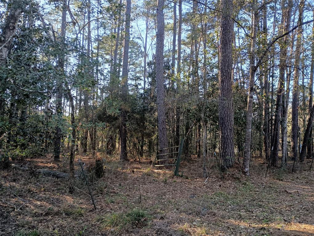 570 Lake Camelot Circle, Woodville, Texas image 3