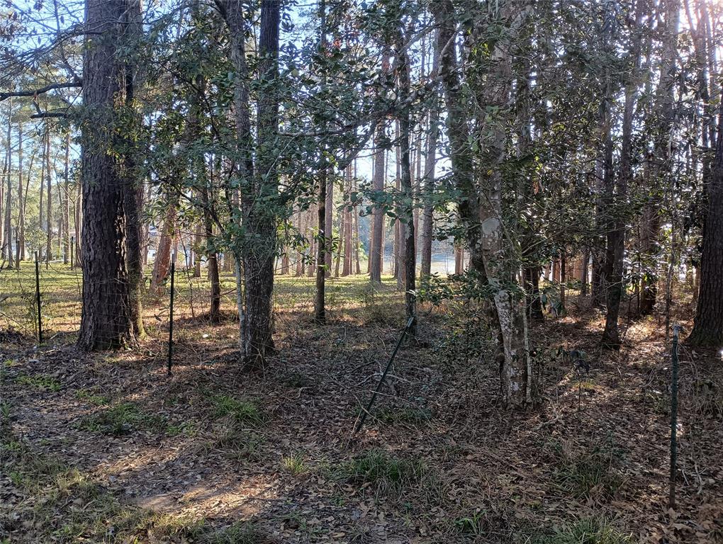 570 Lake Camelot Circle, Woodville, Texas image 10