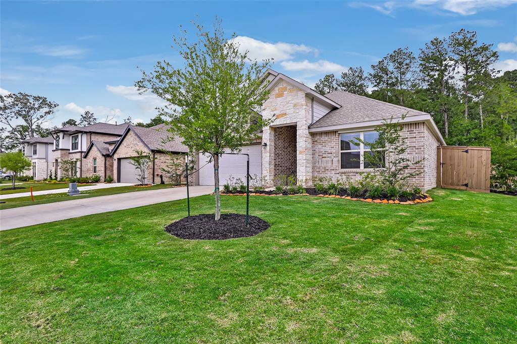 21623 Mount Frisell Lane, Porter, Texas image 3