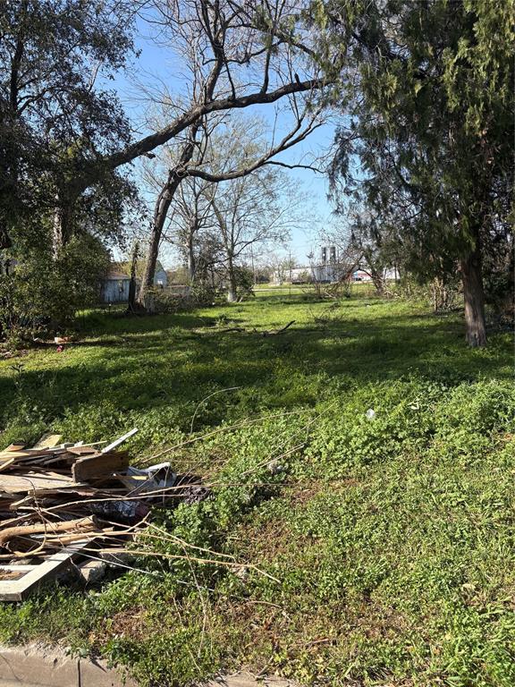 505 E Elgie Street, Beaumont, Texas image 3