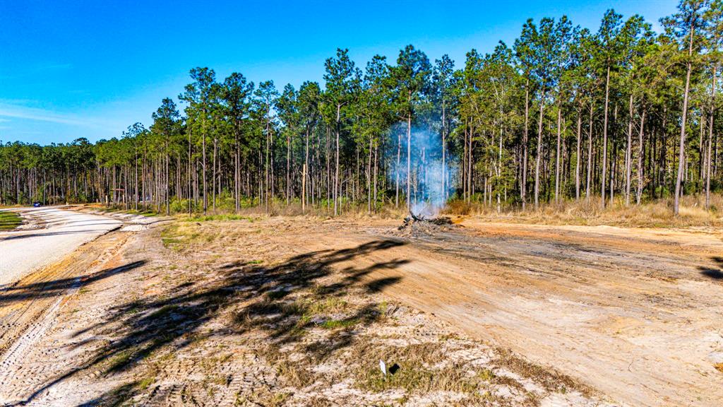 001 Big Buck Drive, Moscow, Texas image 9