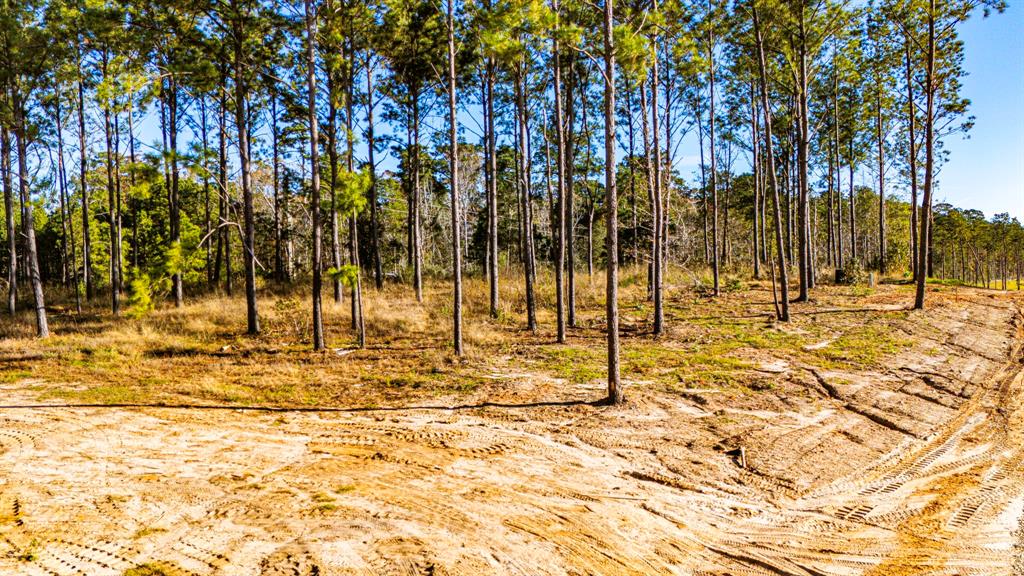 001 Big Buck Drive, Moscow, Texas image 10