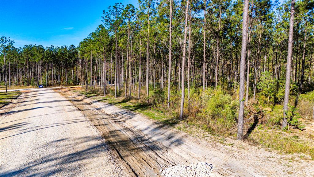 001 Big Buck Drive, Moscow, Texas image 6