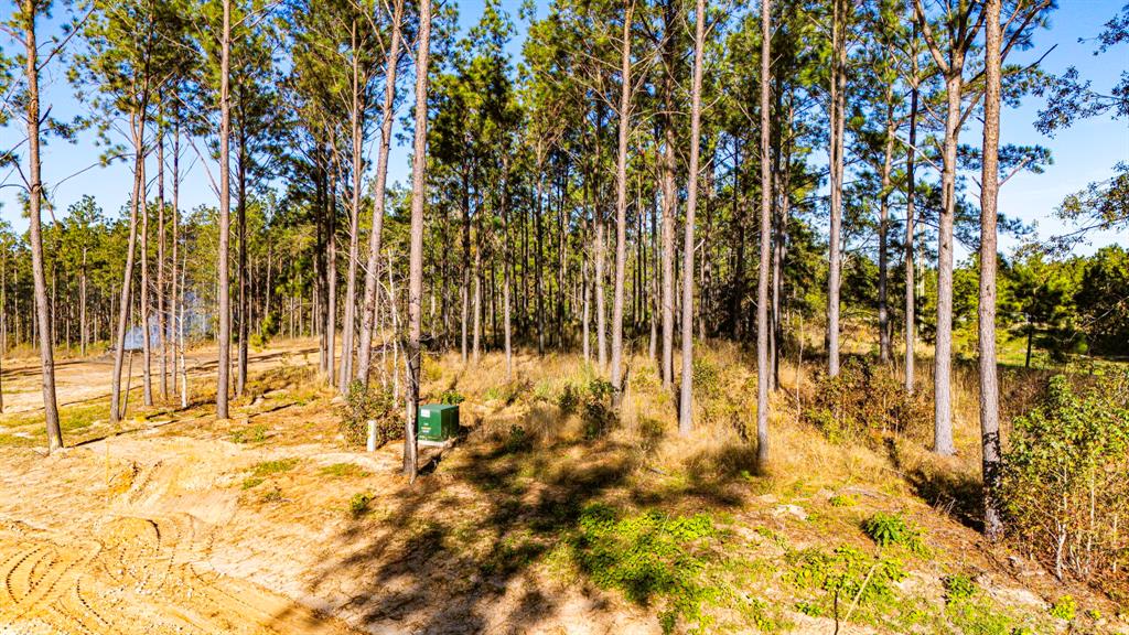 001 Big Buck Drive, Moscow, Texas image 12