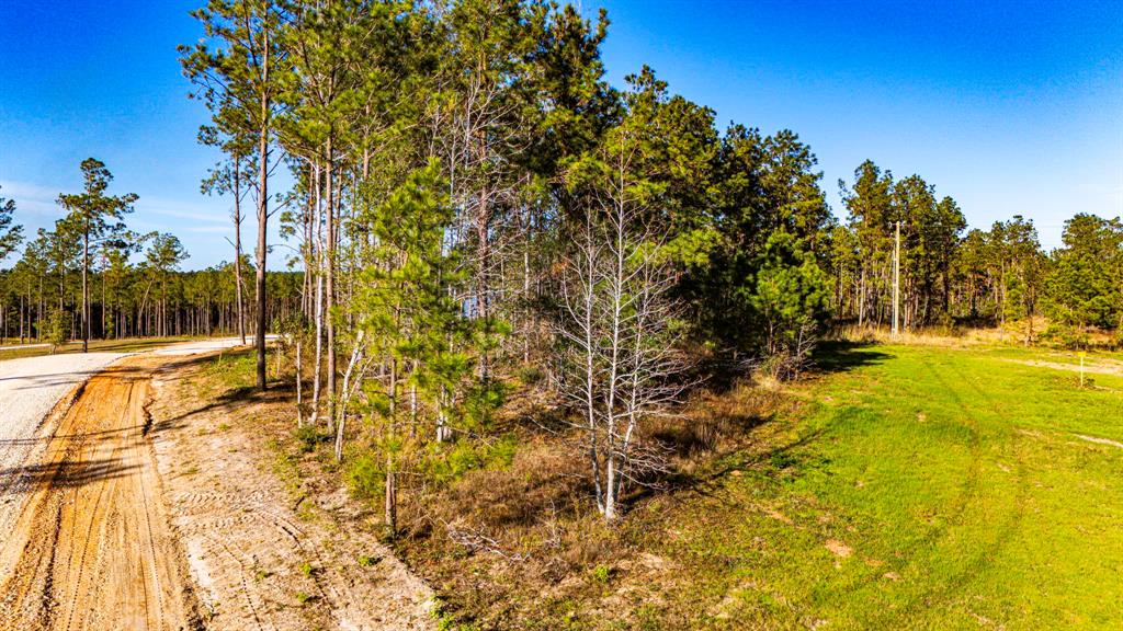 001 Big Buck Drive, Moscow, Texas image 11