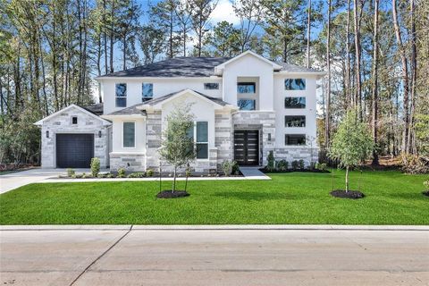 21844 Otter Point Lane Porter TX 77365