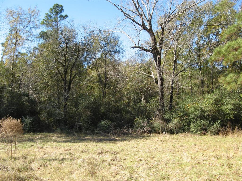 0 TBD Beef Road, Groveton, Texas image 7