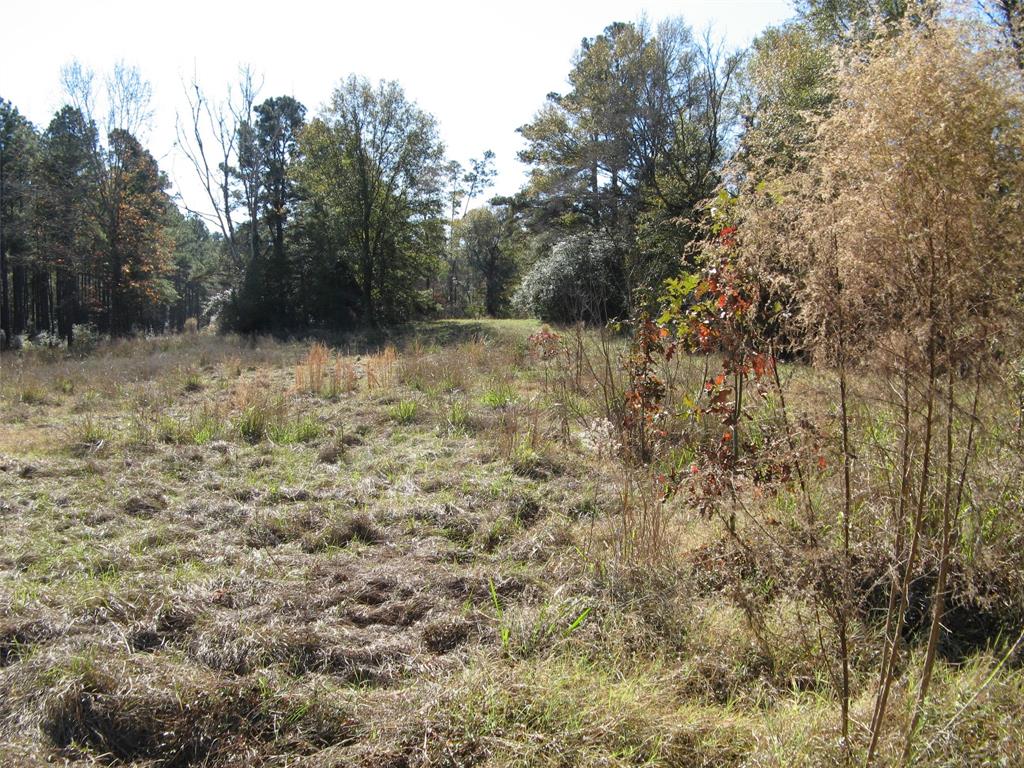 0 TBD Beef Road, Groveton, Texas image 9