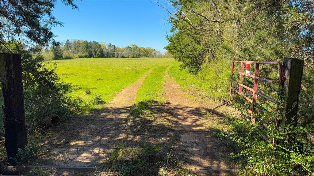 TBD County Road 2780, Woodville, Texas image 45