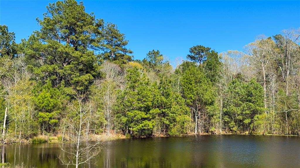 TBD County Road 2780, Woodville, Texas image 39