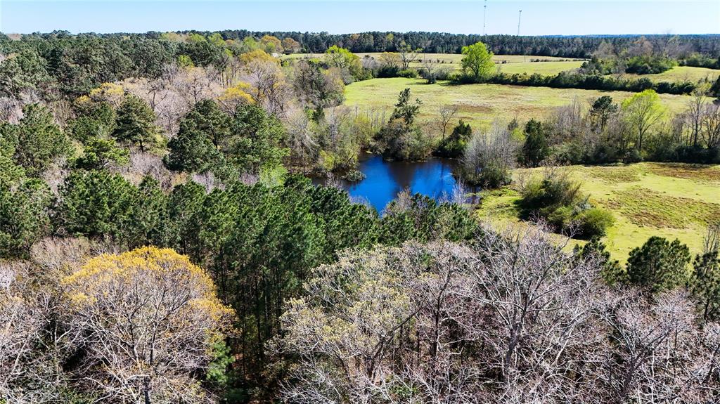 TBD County Road 2780, Woodville, Texas image 18