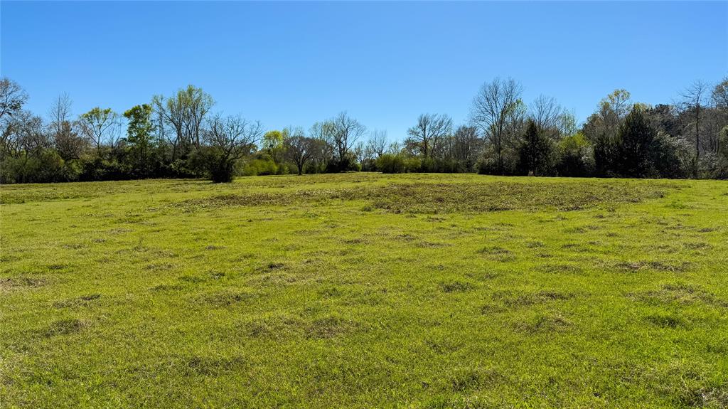 TBD County Road 2780, Woodville, Texas image 41
