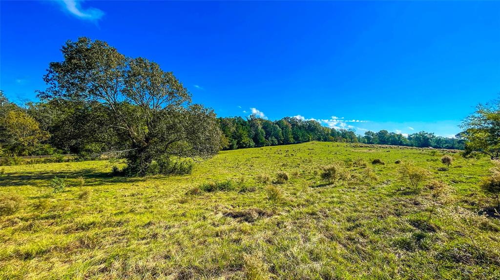 TBD County Road 2780, Woodville, Texas image 3