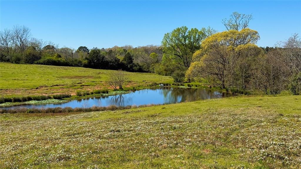 TBD County Road 2780, Woodville, Texas image 26