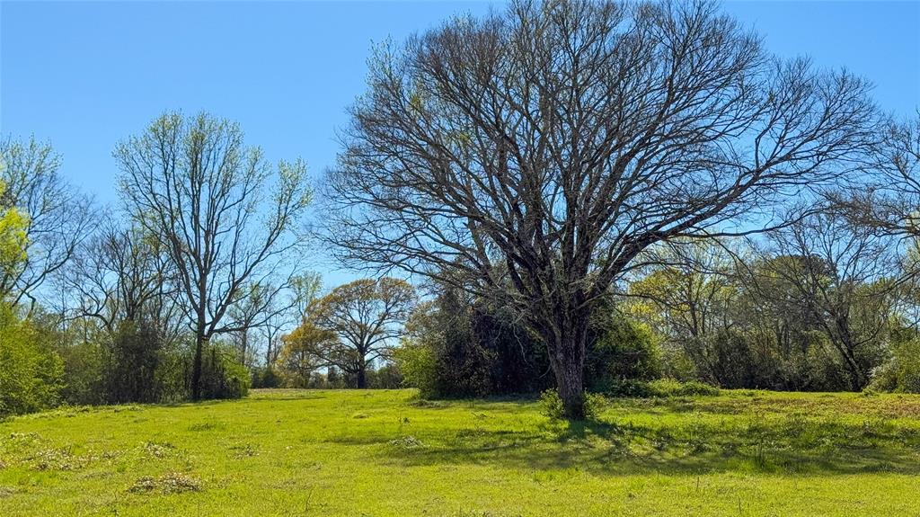 TBD County Road 2780, Woodville, Texas image 42