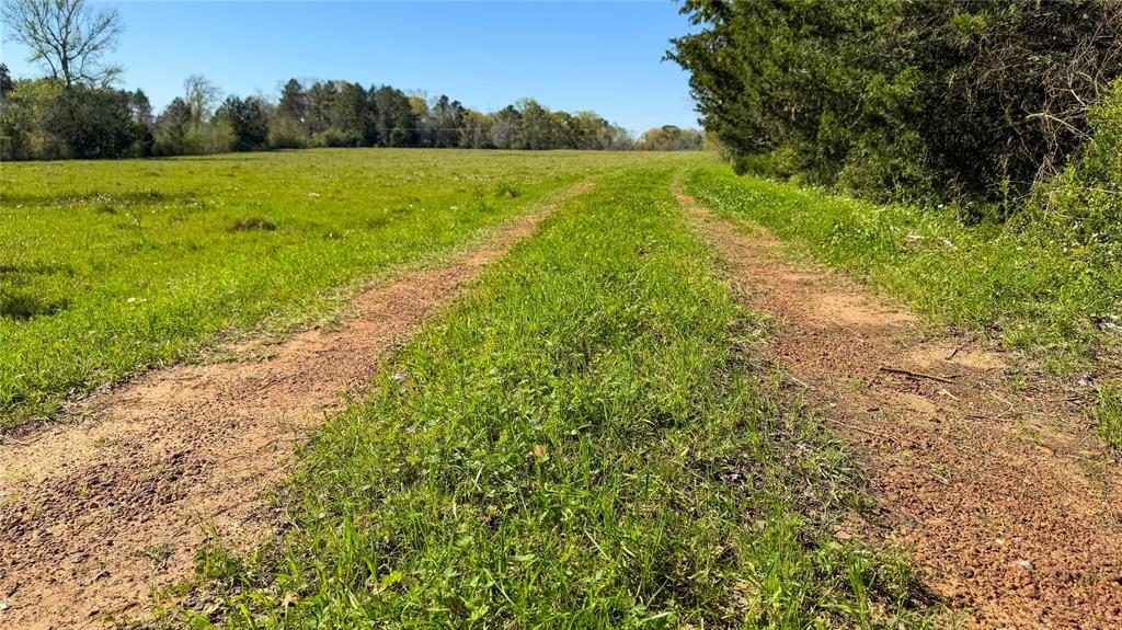 TBD County Road 2780, Woodville, Texas image 44