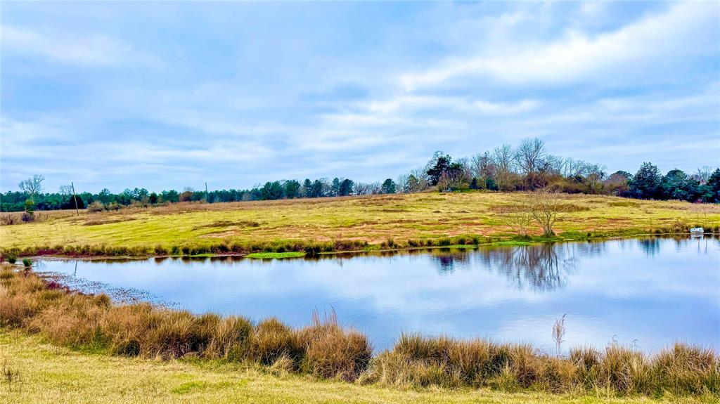 TBD County Road 2780, Woodville, Texas image 2