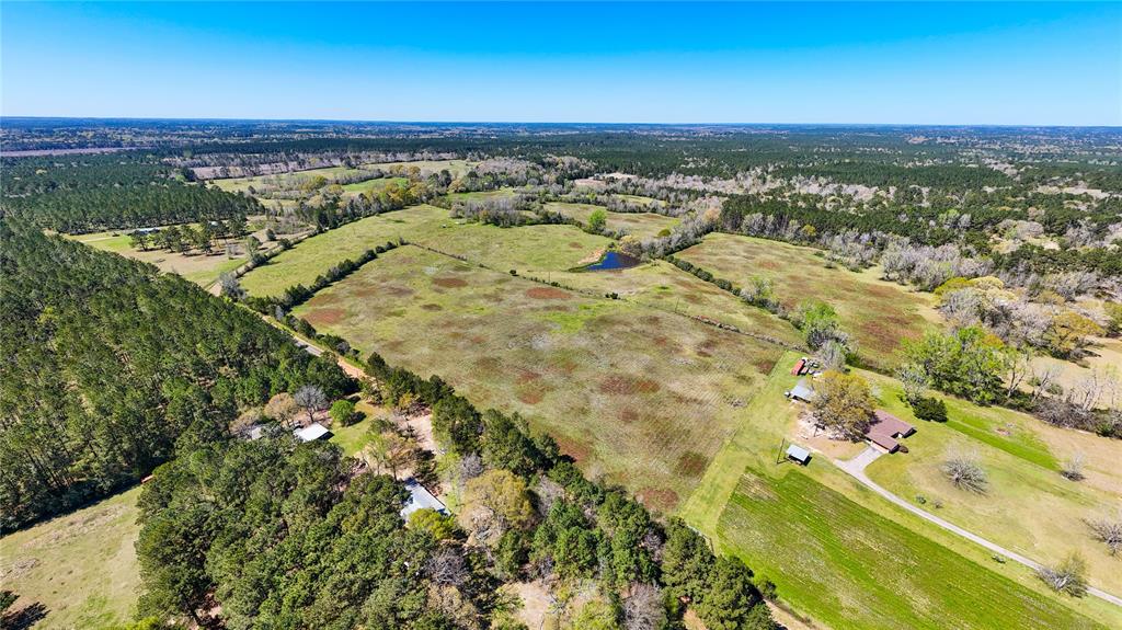 TBD County Road 2780, Woodville, Texas image 10