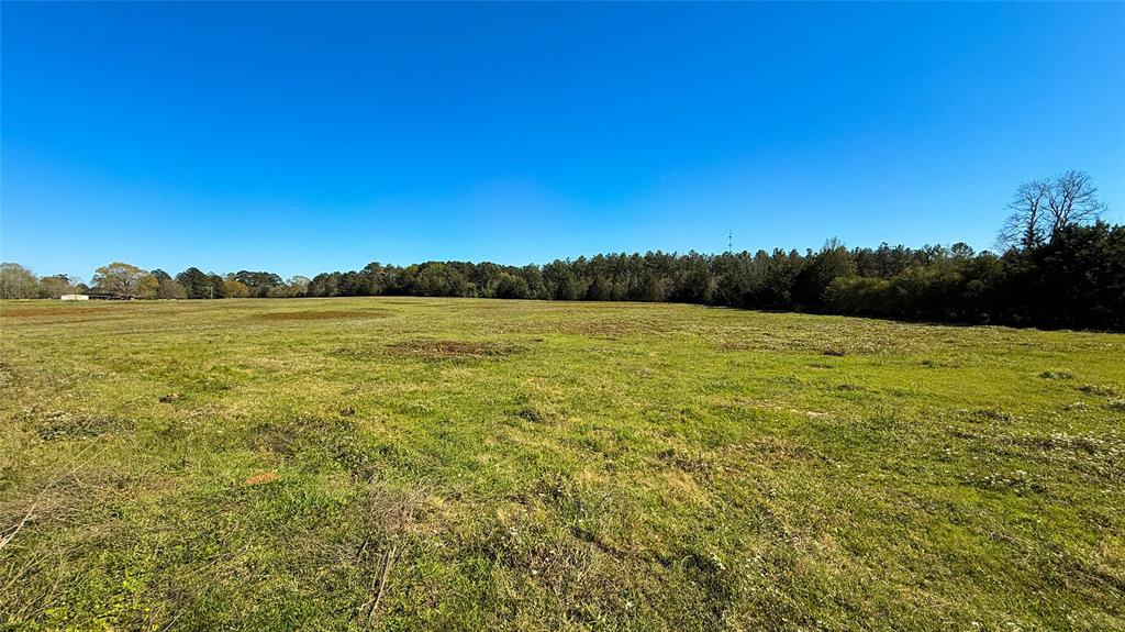TBD County Road 2780, Woodville, Texas image 8