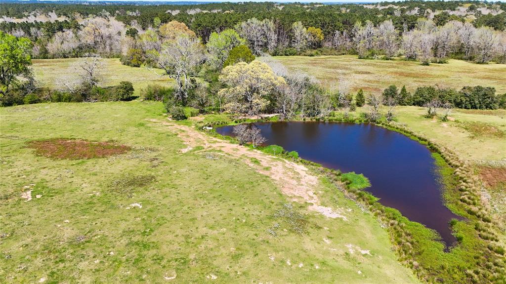 TBD County Road 2780, Woodville, Texas image 1
