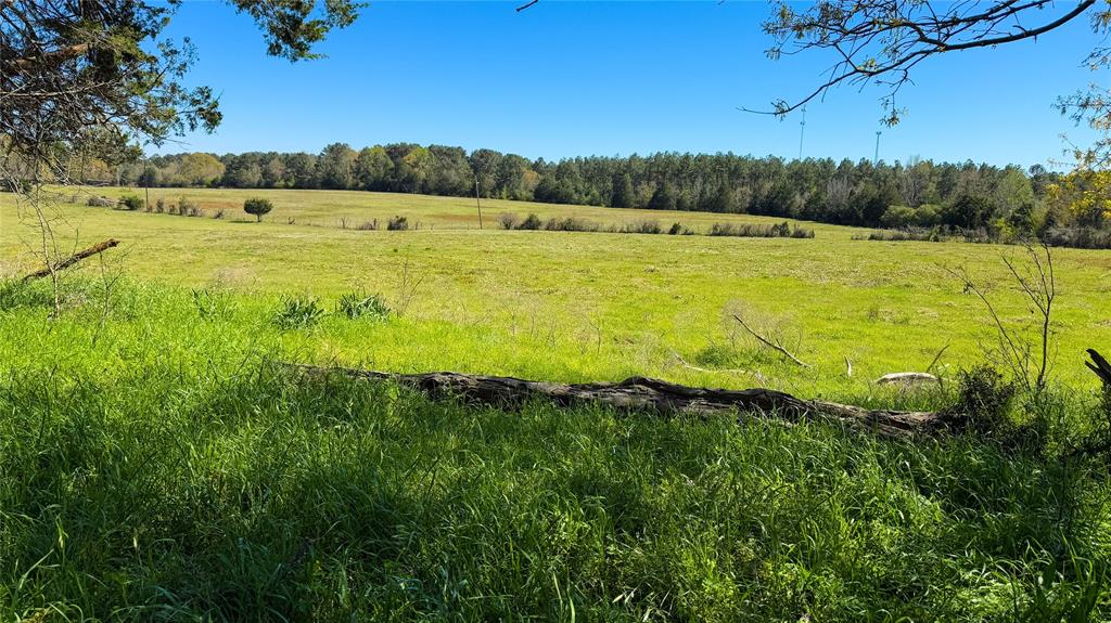 TBD County Road 2780, Woodville, Texas image 14