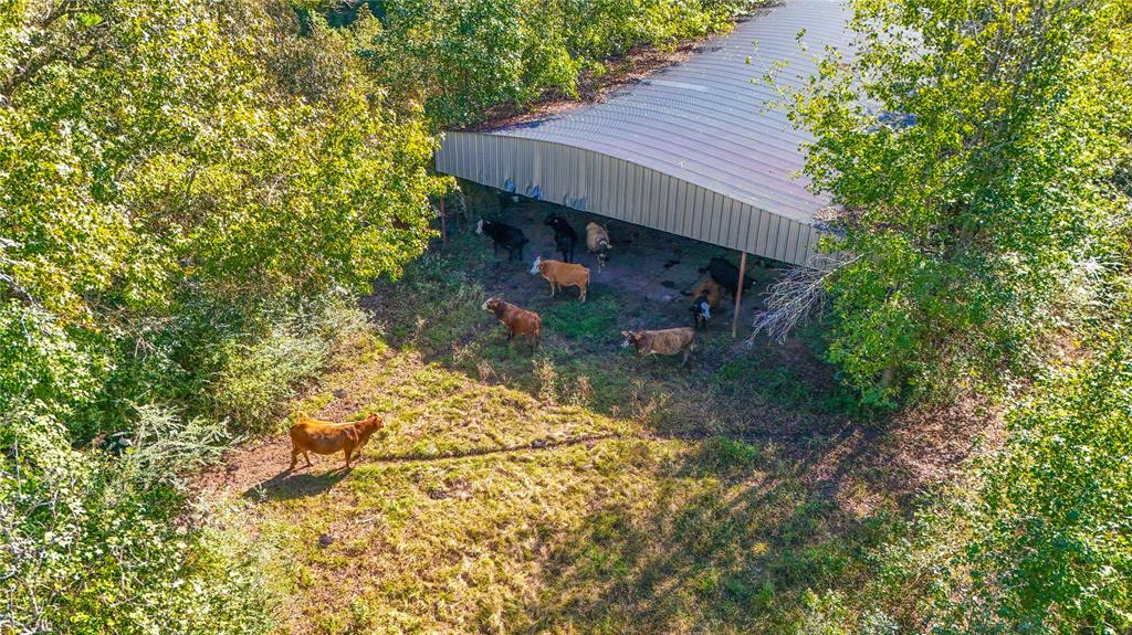 TBD County Road 2780, Woodville, Texas image 19