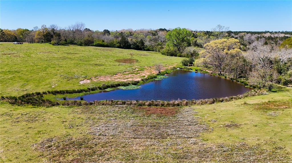TBD County Road 2780, Woodville, Texas image 7