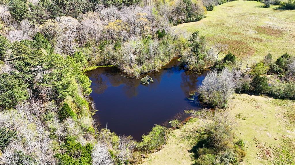 TBD County Road 2780, Woodville, Texas image 17