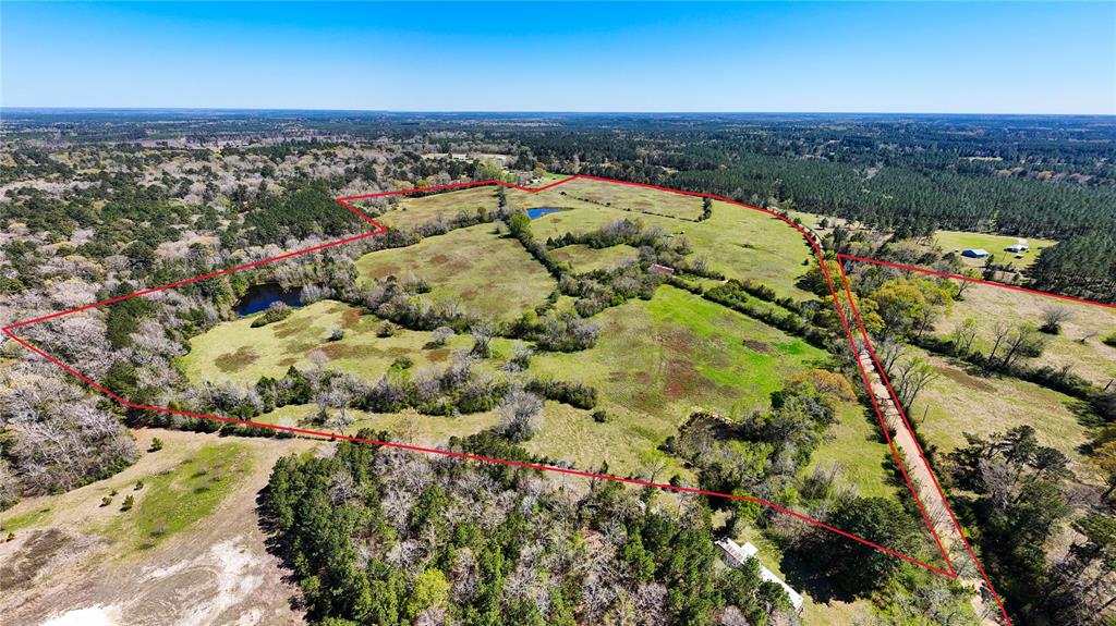 TBD County Road 2780, Woodville, Texas image 46