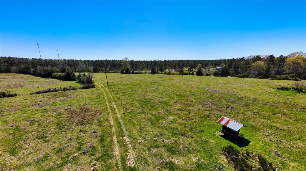 TBD County Road 2780, Woodville, Texas image 25
