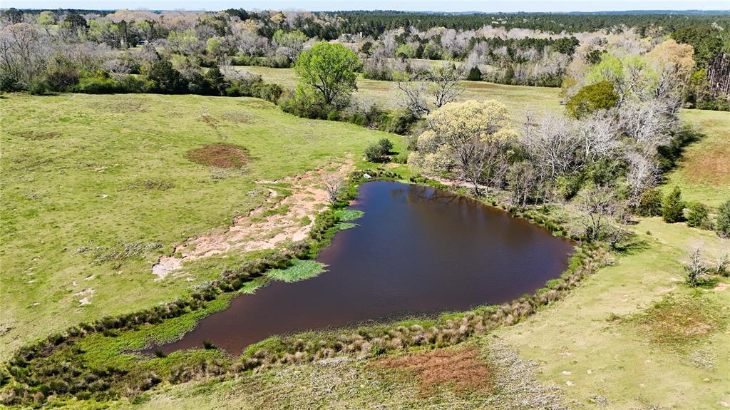 TBD County Road 2780, Woodville, Texas image 6