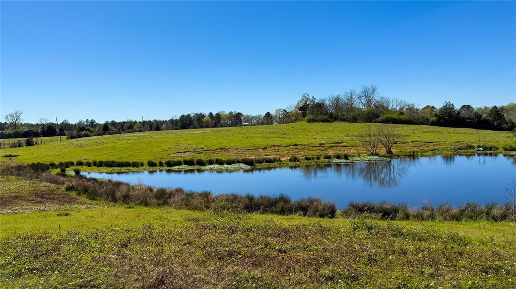 TBD County Road 2780, Woodville, Texas image 27
