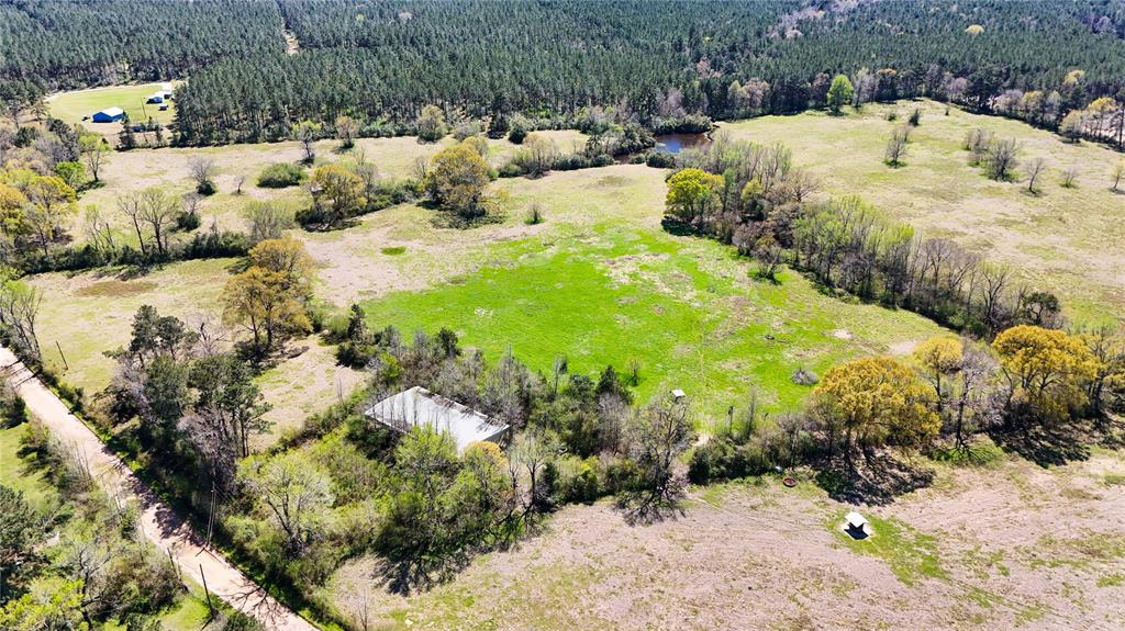 TBD County Road 2780, Woodville, Texas image 28