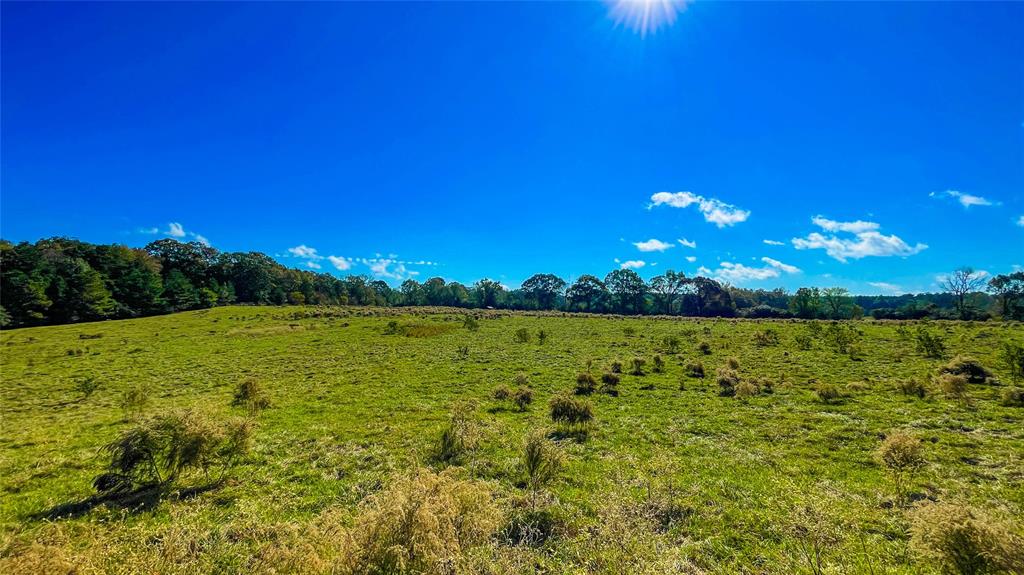 TBD County Road 2780, Woodville, Texas image 4